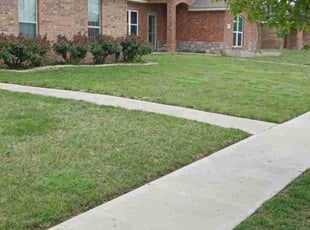 Ann B.'s Lawn Care service result