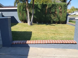 Bush Trimming by Ricardo Garcia for Julia L. in Santa Ana, CA