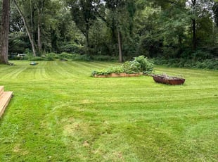 Sheila C.'s Lawn Service service result