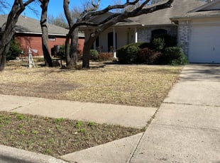 Leaf Removal by Raul Shimada for Gwen L. in Leander, TX