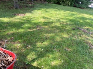 Cleanups by James Sedlak for Skip B. in Wilkes-Barre, PA