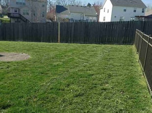 Leaf Removal by Charles Pettit for Jordan R. in Louisville, KY