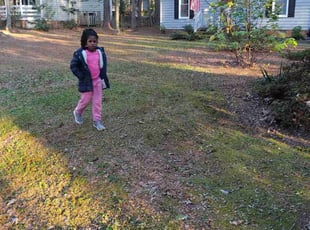 Leaf Removal by Joe Dortch for Charlotte P. in Midlothian, VA
