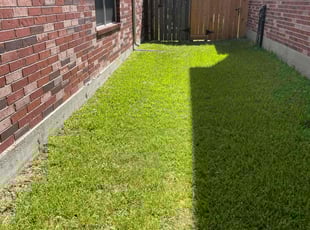 Sandra G.'s Yard Cutting service result