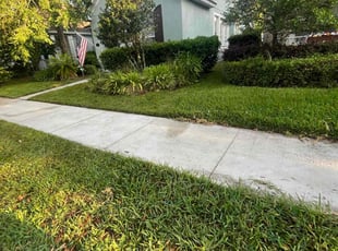 Dixon A.'s Lawn Maintenance service result