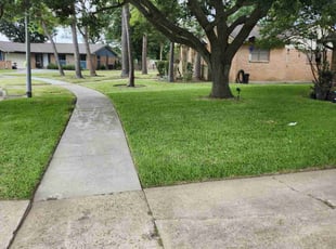 Tony R.'s Lawn Mowing Service service result