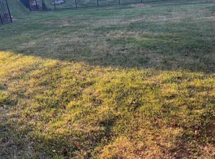 Leaf Removal by Kasandra Velasco for Robert f. in Louisville, KY