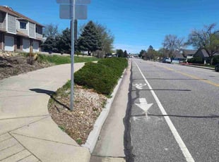 Bush Trimming by Alley Parker for Shannon J. in Northglenn, CO