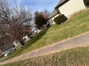 Leaf Removal by Jacolby Walker for Arthur J. in Charlotte, NC