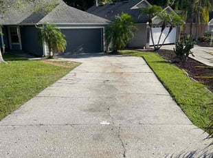Diahann R.'s Grass Cutting service result