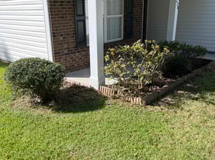 Bush Trimming by Charles Brewer for Alexa V. in Columbia, SC