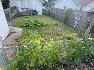Cleanups by Daniel Powers for Andrea K. in Minneapolis, MN
