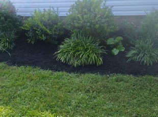 Mulching by Joe Dortch for Jamie J. in Richmond, VA