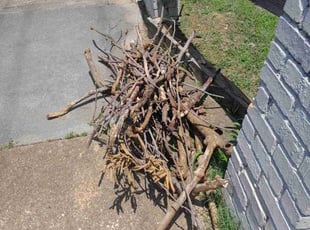 Cleanups by Eric Gaytan for Kimberly C. in Memphis, TN
