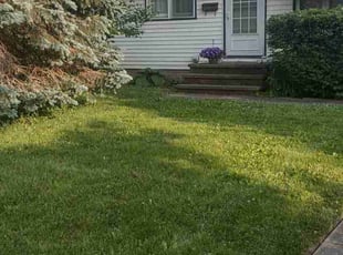 Bush Trimming by Douglas Gray for Diana W. in Brook Park, OH