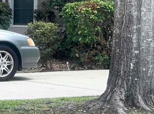 Bush Trimming by Steven Newman for Isabel O. in Orange Park, FL