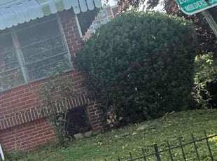 Bush Trimming by Theo Mobley for Viviane M. in Washington, DC