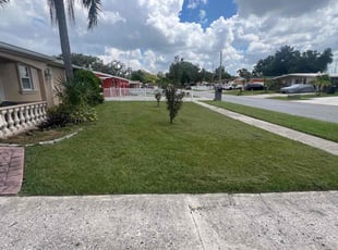 Tiamisha M.'s Grass Cutting service result