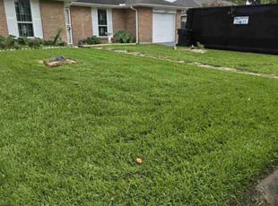 Teresa L.'s Lawn Mowing service result