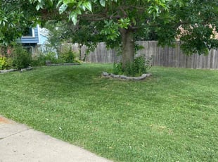 Michael L.'s Yard Cutting service result