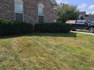 Bush Trimming by Chad Mann for Tom N. in Fishers, IN