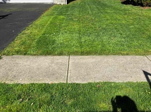 Viet n.'s Lawn Care service result