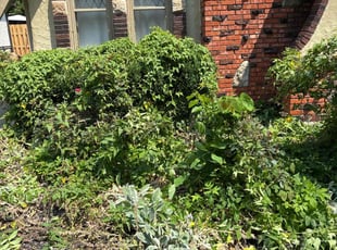 Cleanups by Tim Kirkpatrick for Maureen M. in Kansas City, MO