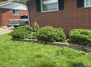 Bush Trimming by Ralphiel Hughley for Kevin B. in Columbus, OH