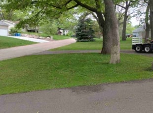 Debra R.'s Lawn Mowing Service service result