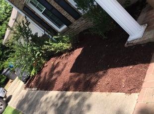 Mulching by Taylor Dodson for Nick R. in Virginia Beach, VA
