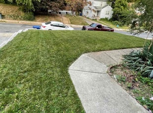 Heidi F.'s Grass Cutting service result