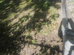 Cleanups by Ben Gazall for Valon T. in Kansas City, MO