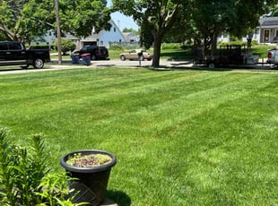 Jim A.'s Grass Cutting service result
