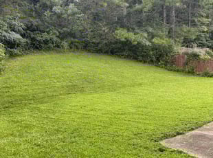 Aundria L.'s Lawn Maintenance service result