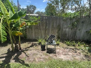 Weeding by Ramon Taguja for Alexandria A. in Riverview, FL