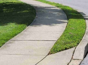 Vanessa L.'s Lawn Mowing Service service result