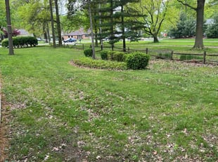 Leaf Removal by James Osborne for Drew L. in Avon Lake, OH