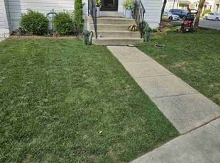Stephen B.'s Grass Cutting service result