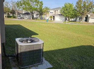 Angela C.'s Lawn Care service result