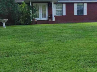 Dorothy B.'s Lawn Service service result