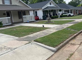 Benjamin D.'s Grass Cutting service result