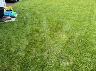 Kevin D.'s Lawn Care service result