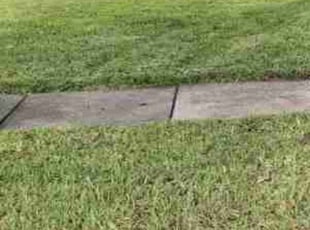 Mike A.'s Lawn Care service result