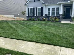 Joan R.'s Lawn Service service result
