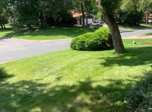 Amina M.'s Lawn Mowing service result