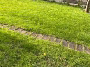 Cleanups by Nicholas Smith for Macy M. in Buffalo, NY
