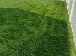 Garrick H.'s Lawn Mowing service result