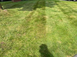 Don H.'s Lawn Service service result