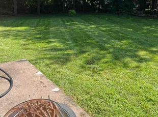 Shongyla W.'s Lawn Care service result