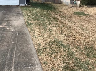 Leaf Removal by Eric Jamison for Shelley B. in Kansas City, MO